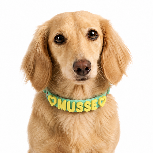 Hundehalsbånd, der kan tilpasses